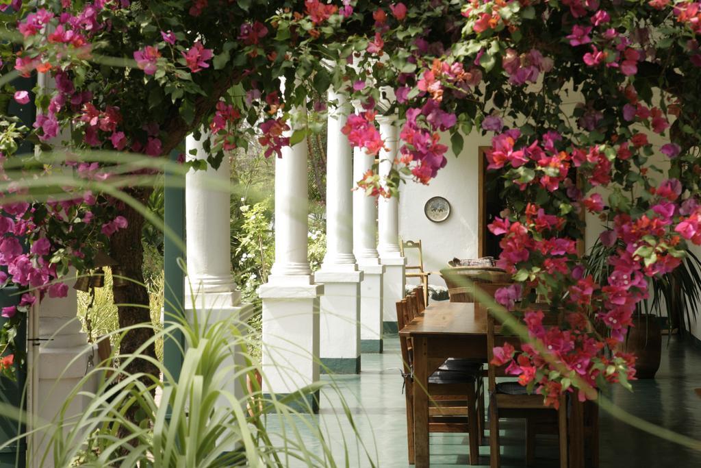 York Lodge Harare Buitenkant foto