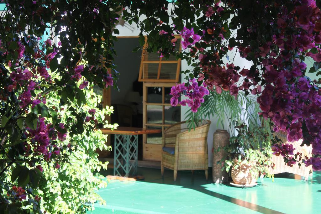 York Lodge Harare Buitenkant foto